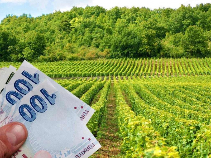 Tarımsal Kredi Danışmanlığı (Faizsiz-Faiz İndirimli)