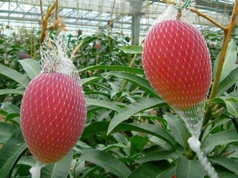 Tarımsal Yatırım ve Üretim Danışmanlığı